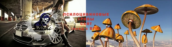 прущие крисы Няндома