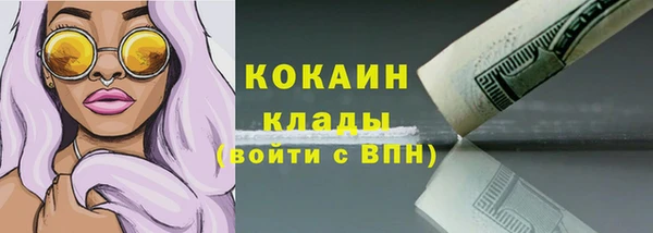 прущие крисы Няндома