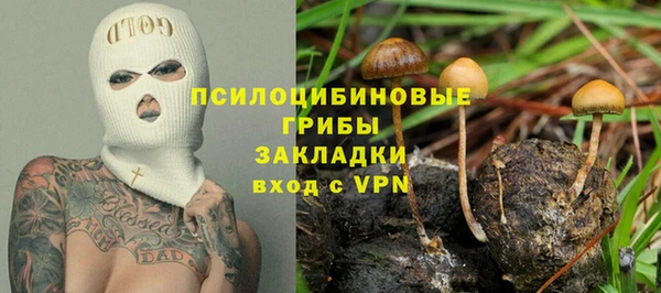прущие крисы Няндома