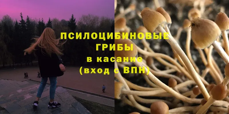 MEGA вход  Чишмы  Псилоцибиновые грибы Psilocybe 